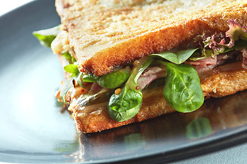 Image showing Fresh toasted panini blt sandwich