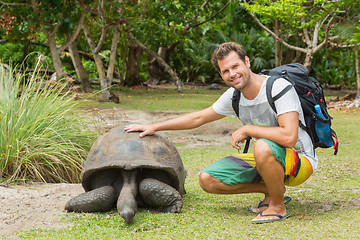 Image showing Tourist feeding Aldabra giant tortoises on Curieuse island, Seychelles.