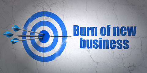 Image showing Business concept: target and Burn Of new Business on wall background