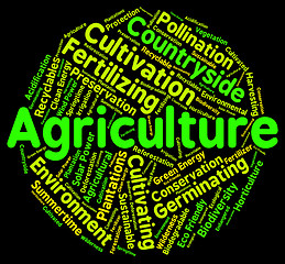 Image showing Agriculture Word Shows Farms Text And Words