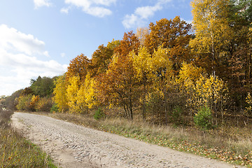 Image showing road in the autumn season