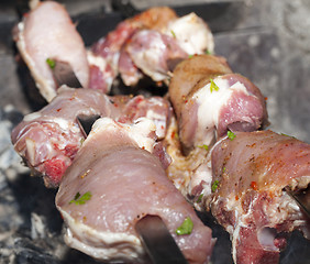 Image showing cooking kebab, close-up