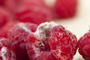 Image showing mold on the raspberries