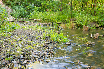 Image showing Rocky shore in a small forest stream