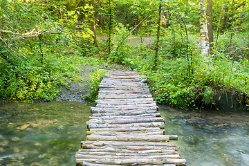 Image showing Homemade wooden bridge over a small river forest