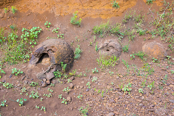 Image showing Three stone formation resembling a form of dinosaur eggs have been found near the village of Wet Olhovka Kotovo District, Volgograd Region, Russia