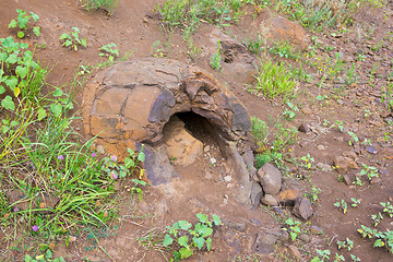 Image showing Stone formation resembling dinosaur eggs have been found near the village of Wet Olhovka Kotovo District, Volgograd Region, Russia