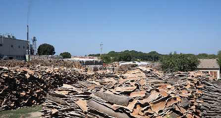 Image showing Piles of Cork Oak bark 