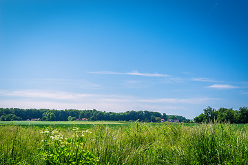 Image showing Summer landscape with rural fields