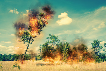 Image showing Tree on fire on a dry field