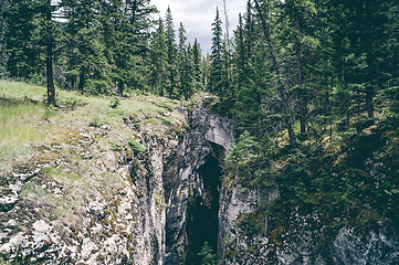 Image showing Large cave in a pine tree forest