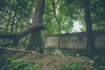 Image showing Old brick wall in a green forest