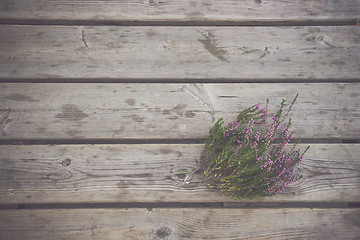 Image showing Heather plant with purple flowers