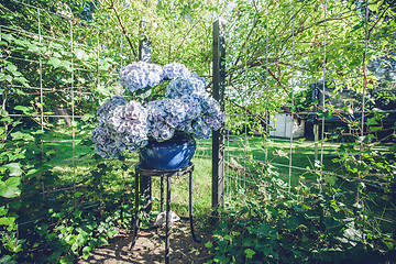 Image showing Flowerpot on a garden terrace