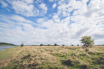 Image showing Plains with tall grass and blue sky