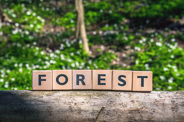 Image showing Forest sign on a wooden branch