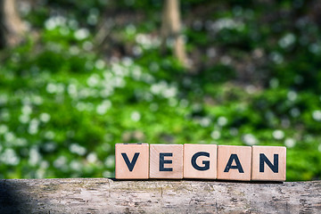 Image showing Vegan sign in a green garden