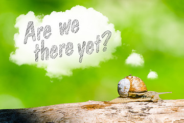 Image showing Snail thinking are we there yet