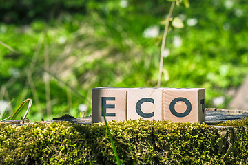 Image showing Eco sign in a green forest