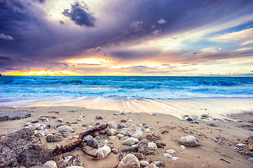 Image showing Sunset at the beach