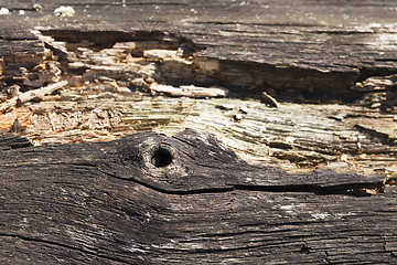 Image showing rotten wooden surface, close-up