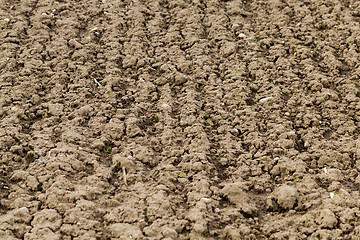 Image showing plowed agricultural field