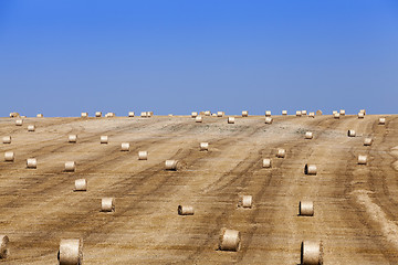 Image showing stack of straw in the field