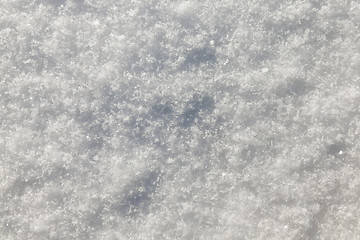 Image showing snow on the ground