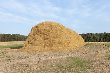 Image showing stack of straw in the field