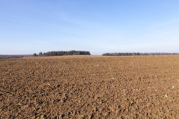 Image showing plowed for sowing the land