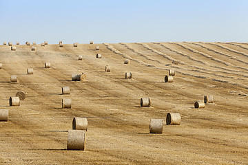 Image showing stack of straw in the field