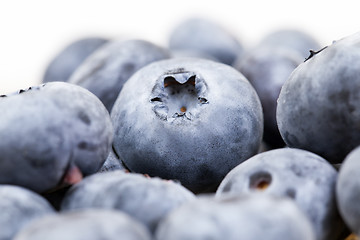 Image showing ripe berries blueberry