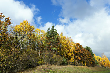 Image showing Nature in autumn season