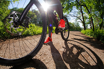 Image showing Young woman having fun riding a bicycle in the park.