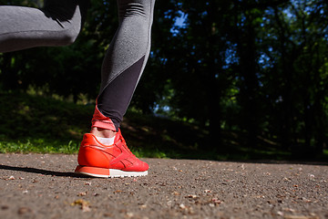 Image showing young fitness woman hiker legs at forest trail