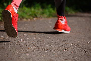 Image showing young fitness woman hiker legs at forest trail