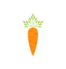 Image showing Ripe Carrot Isolated