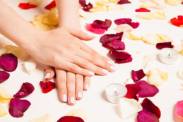 Image showing Female gentle hands crossed surrounded with petals