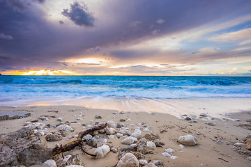 Image showing Sunset at the beach