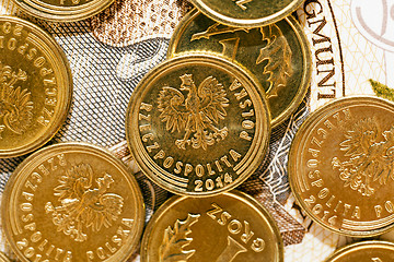 Image showing Polish Zloty, close-up