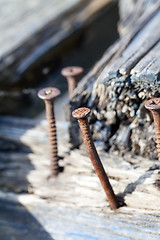 Image showing old rusty screw