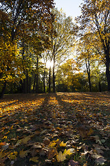 Image showing Park in the fall