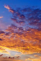 Image showing the sky during sunset