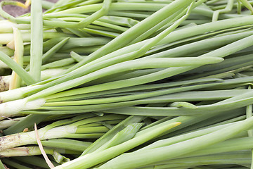 Image showing green feathers bow