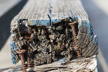 Image showing old rusty screw