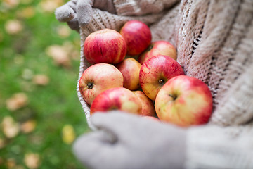 Image showing woman with apples at autumn garden