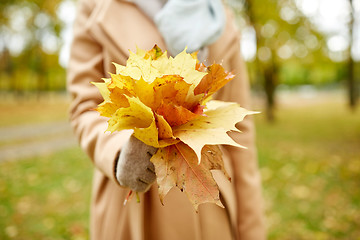 Image showing close up of woman with maple leaves in autumn park