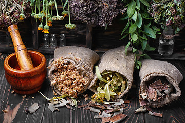 Image showing traditional medicinal herb