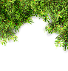 Image showing Natural Framework with Fir Twigs