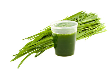 Image showing Wheatgrass drink & wheatgrass isolated on white background